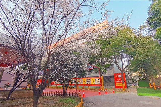 1613961275106486.jpg 3.jpg